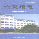 上海市浦东新区六里镇志 2009    PDF电子版
