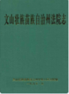文山壮族苗族自治州法院志       1995年版         PDF电子版下载