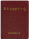汝州市地质矿产志 汝州市地质矿产局编 PDF电子版下载