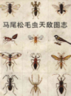 马尾松毛虫天敌图志                   1986年版                  PDF电子版下载