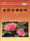 洛阳市保险志                   1992年版                      PDF电子版下载