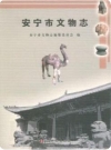 安宁市文物志_2007版_PDF电子版下载