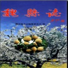 河北省魏县志.pdf下载