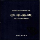 新疆 莎车县志.pdf下载