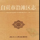 四川省自贡市沿滩区志.pdf下载