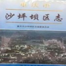 重庆市沙坪坝区志.pdf下载