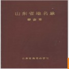 山东省地名录  泰安市 1991版.PDF电子版下载